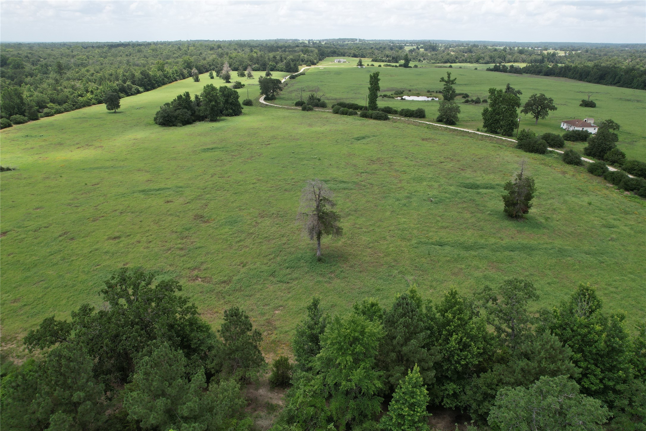 Trail 13 Private Road 1310 Centerville TX 75833
