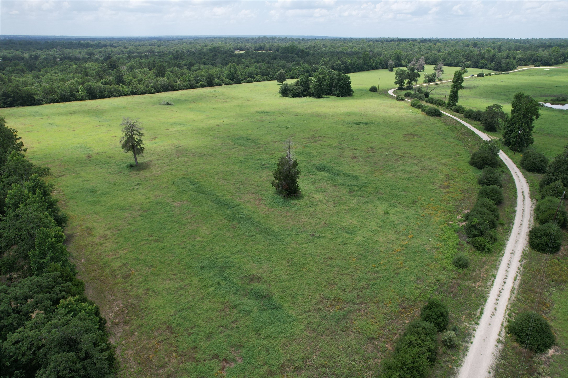Trail 13 Private Road 1310 Centerville TX 75833