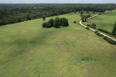 Trail 13 Private Road 1310 Centerville TX 75833