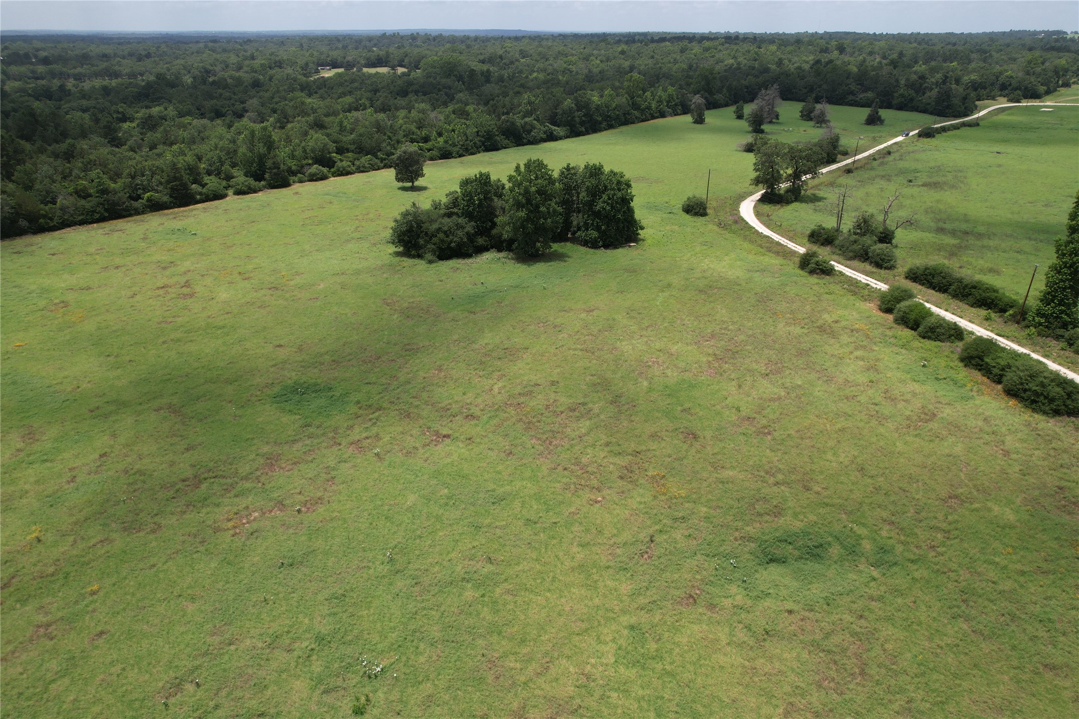 Trail 13 Private Road 1310 Centerville TX 75833