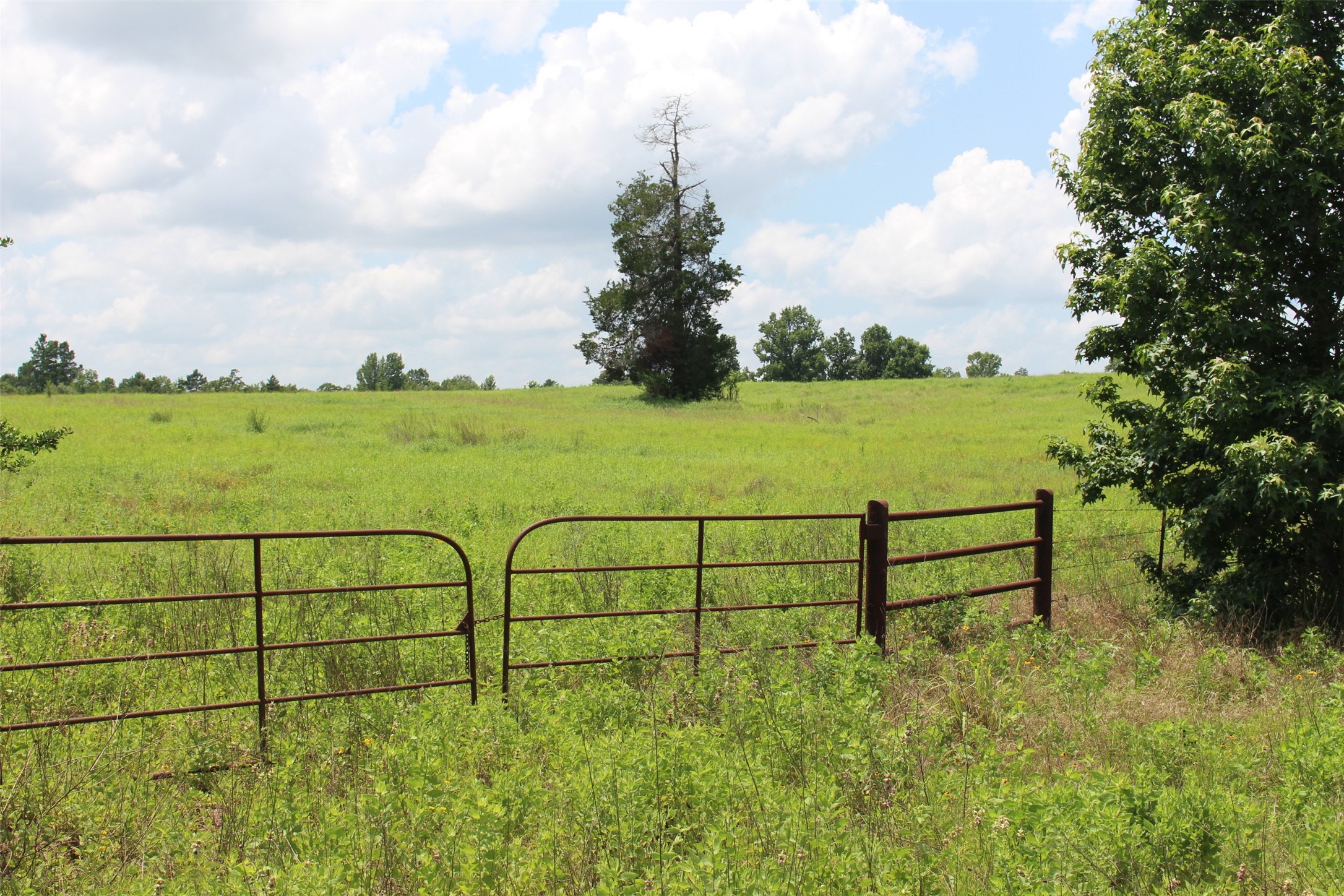 Trail 13 Private Road 1310 Centerville TX 75833