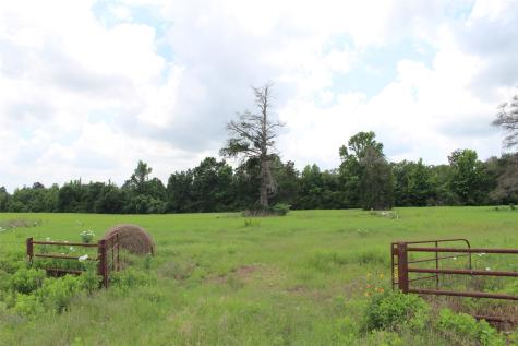 Trail 13 Private Road 1310 Centerville TX 75833