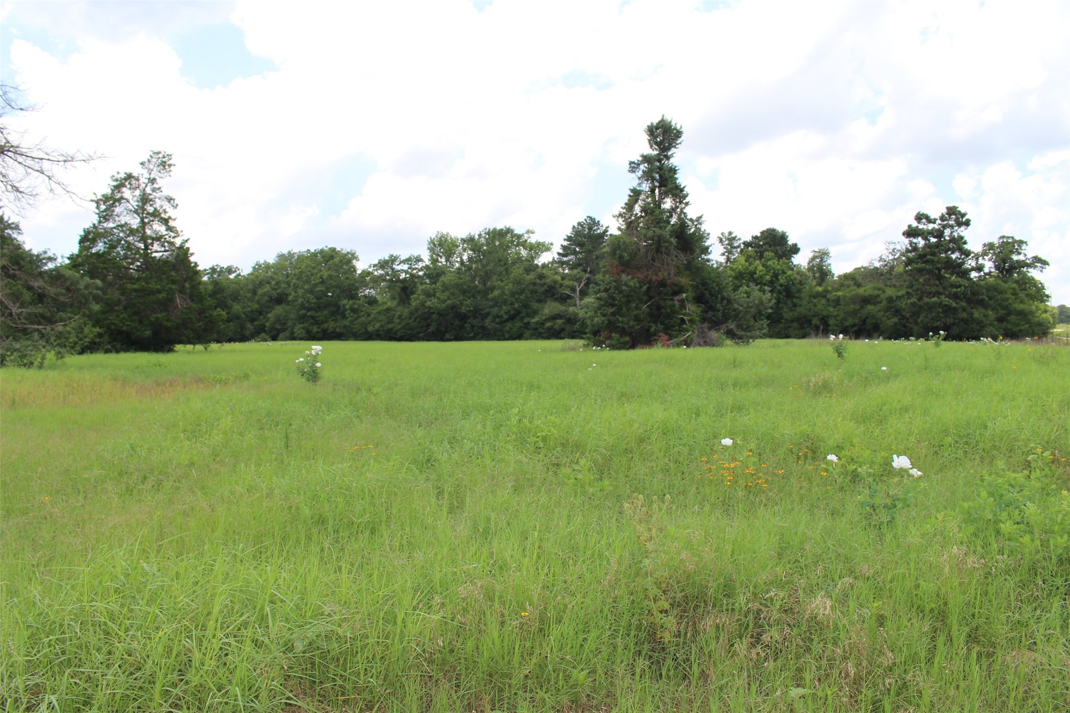 Trail 13 Private Road 1310 Centerville TX 75833