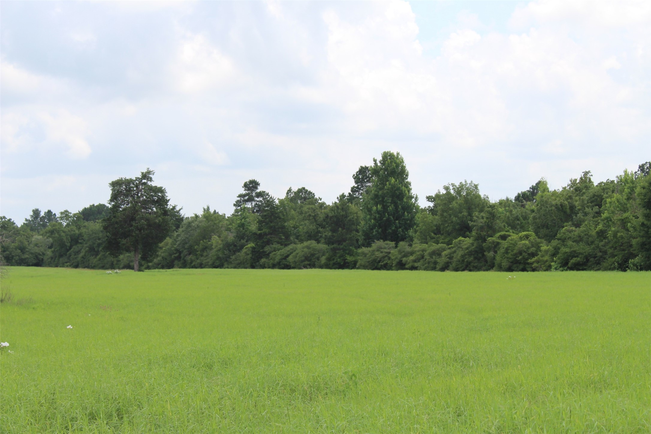 Trail 13 Private Road 1310 Centerville TX 75833