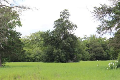 Trail 13 Private Road 1310 Centerville TX 75833
