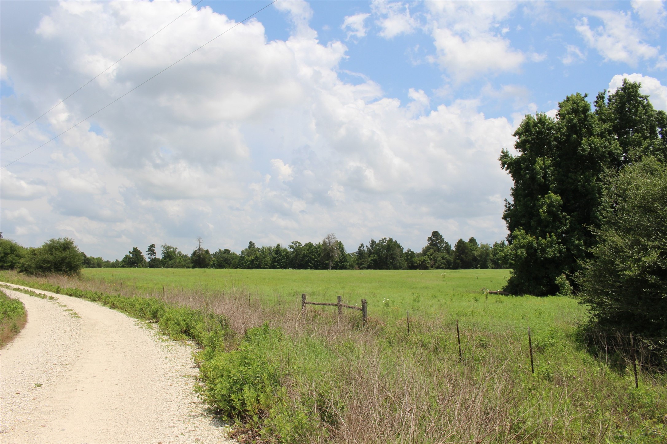 Trail 13 Private Road 1310 Centerville TX 75833