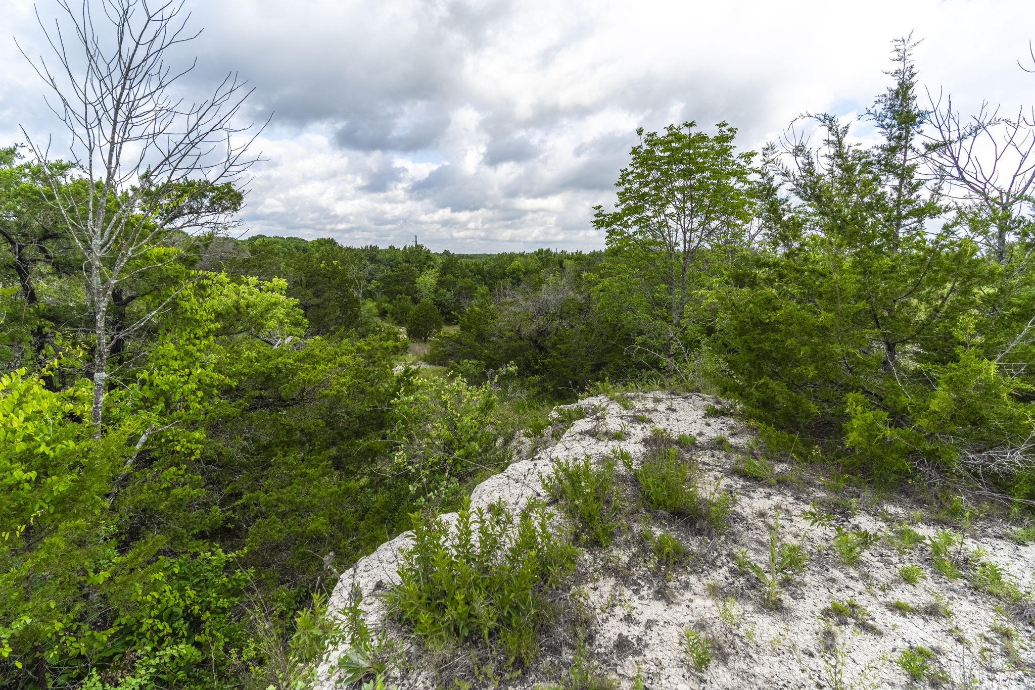 824 Truman Circle Lancaster TX 75146