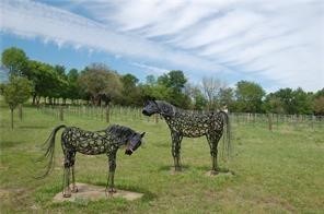 Lot #8 Summit Oak Denison TX 75020