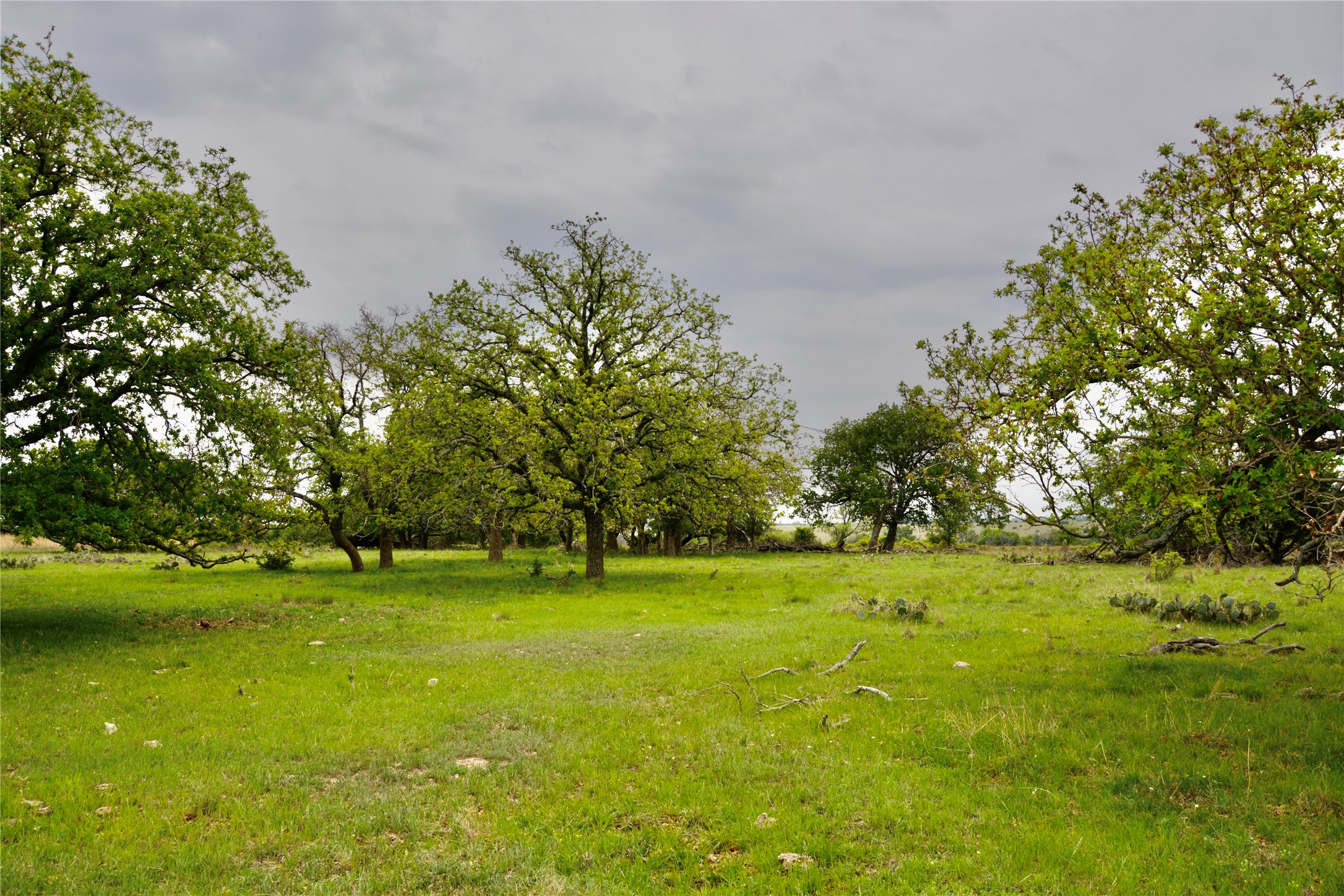 621 E Fm 572 Goldthwaite TX 76844