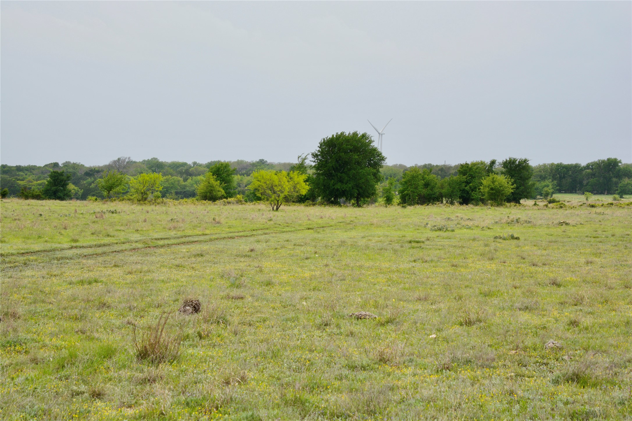 621 E Fm 572 Goldthwaite TX 76844