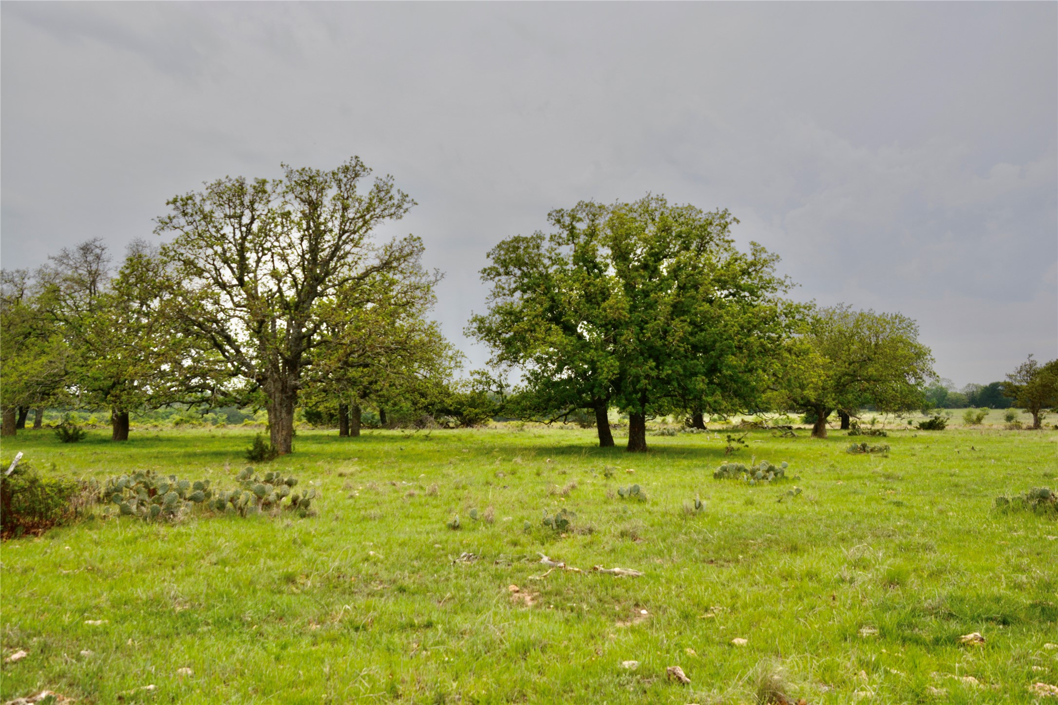 621 E Fm 572 Goldthwaite TX 76844