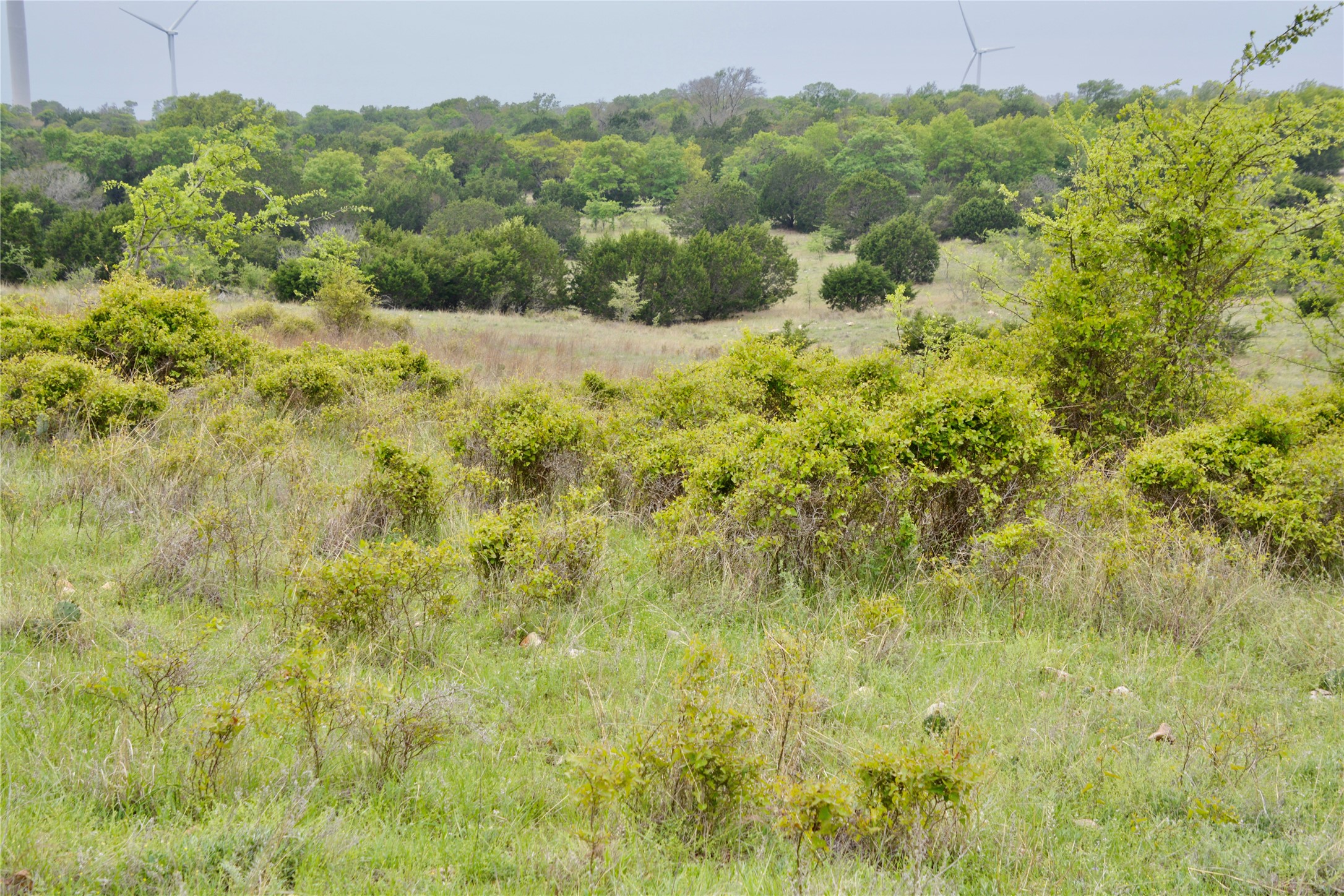 621 E Fm 572 Goldthwaite TX 76844