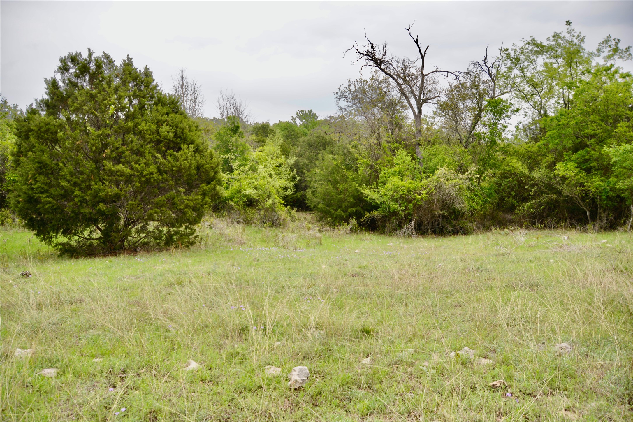 621 E Fm 572 Goldthwaite TX 76844