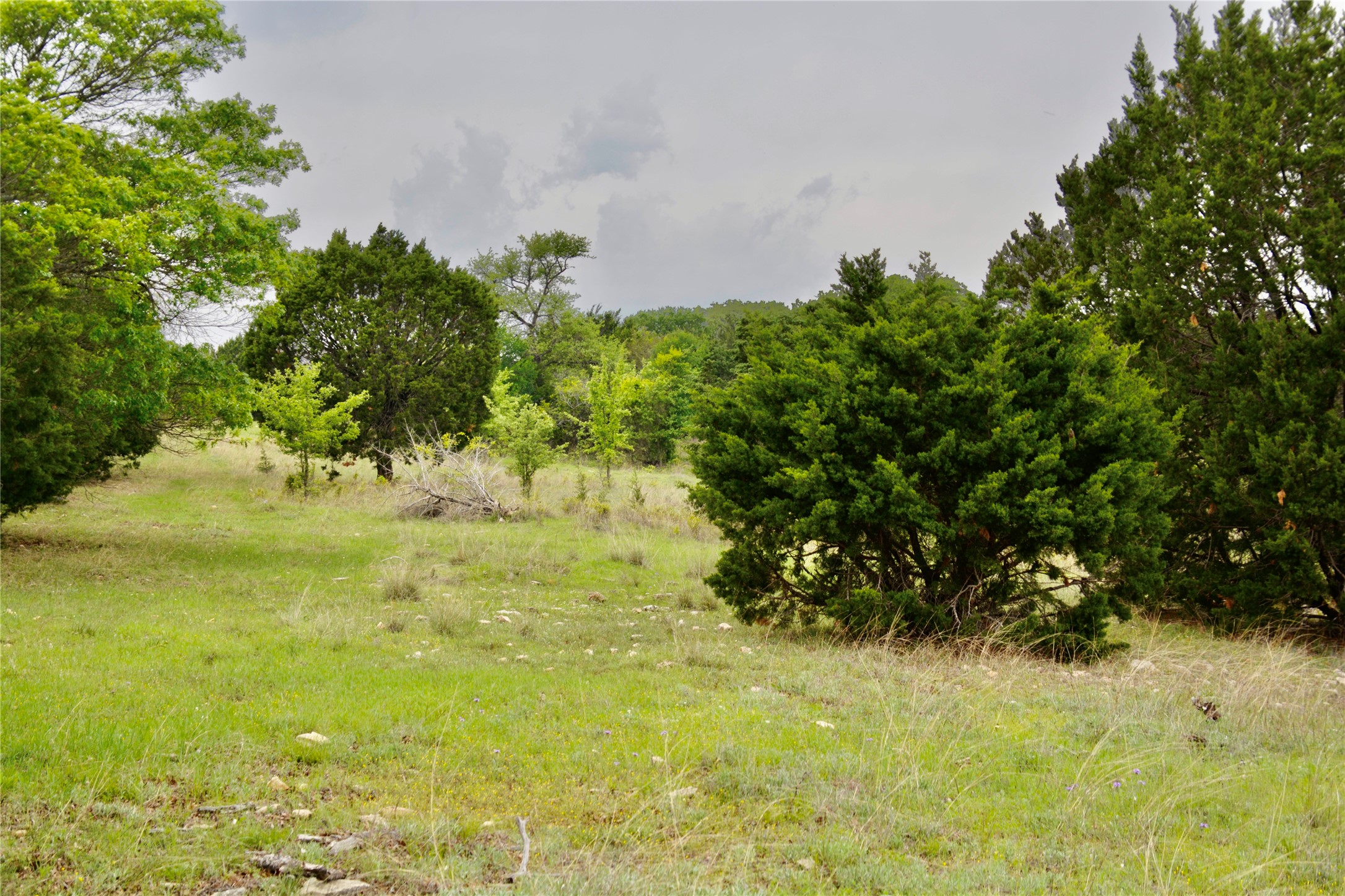 621 E Fm 572 Goldthwaite TX 76844