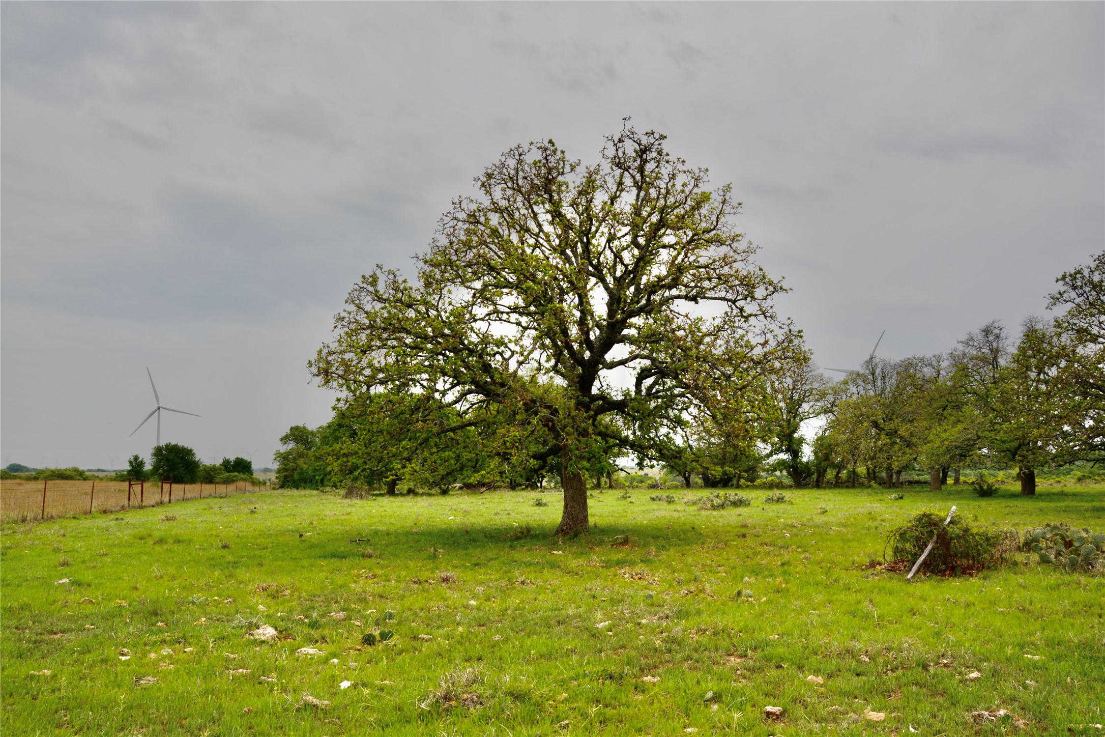 621 E Fm 572 Goldthwaite TX 76844