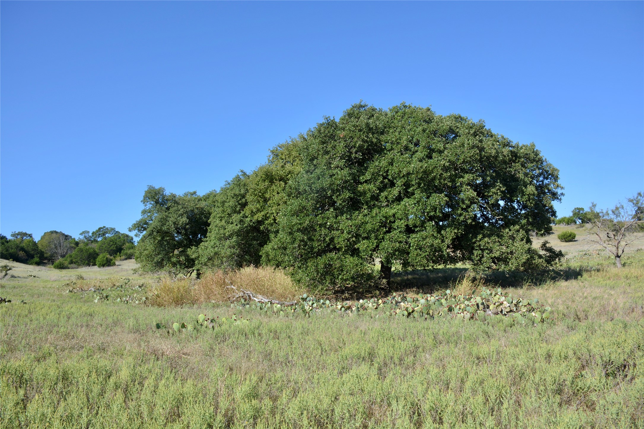 621 E Fm 572 Goldthwaite TX 76844