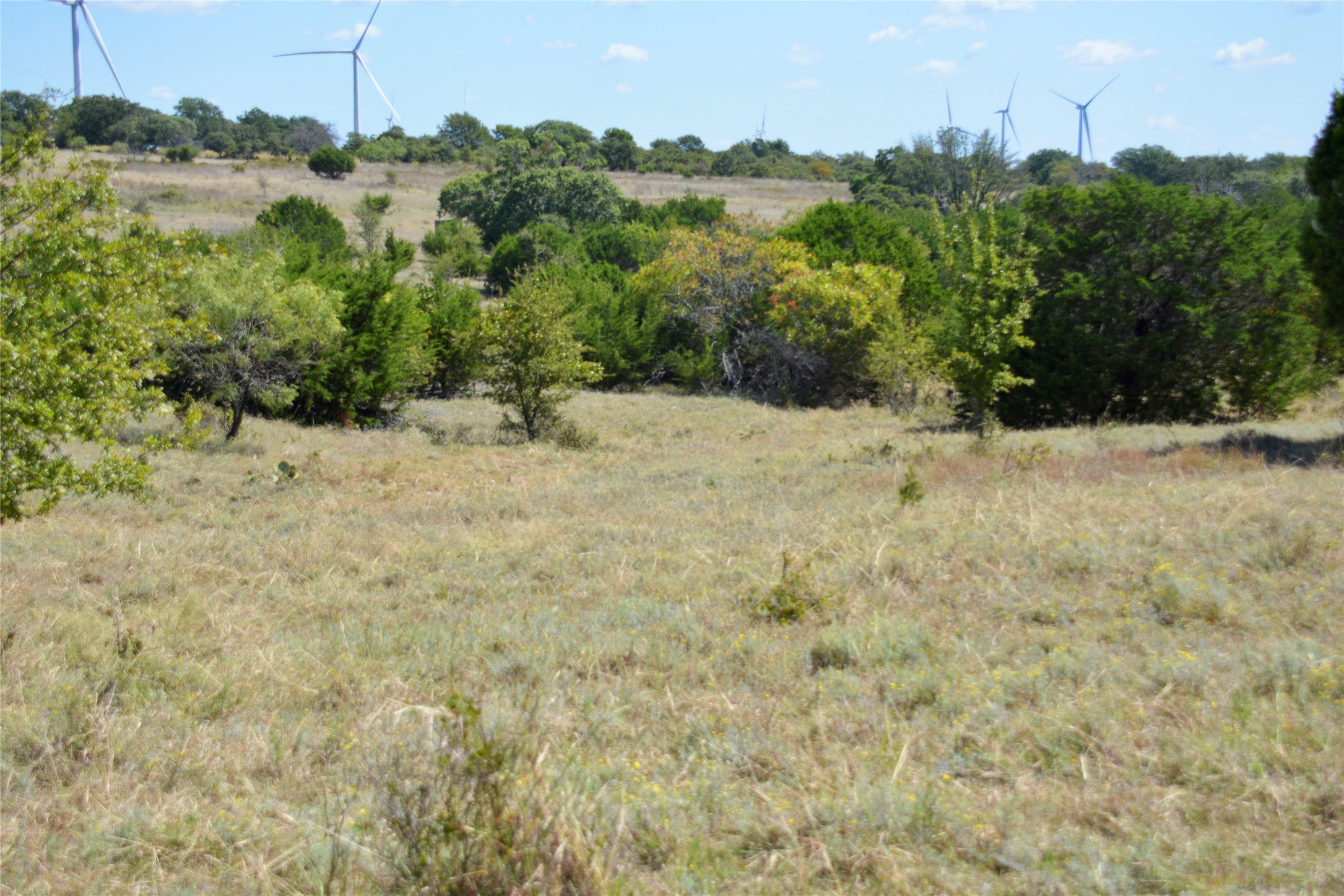 621 E Fm 572 Goldthwaite TX 76844