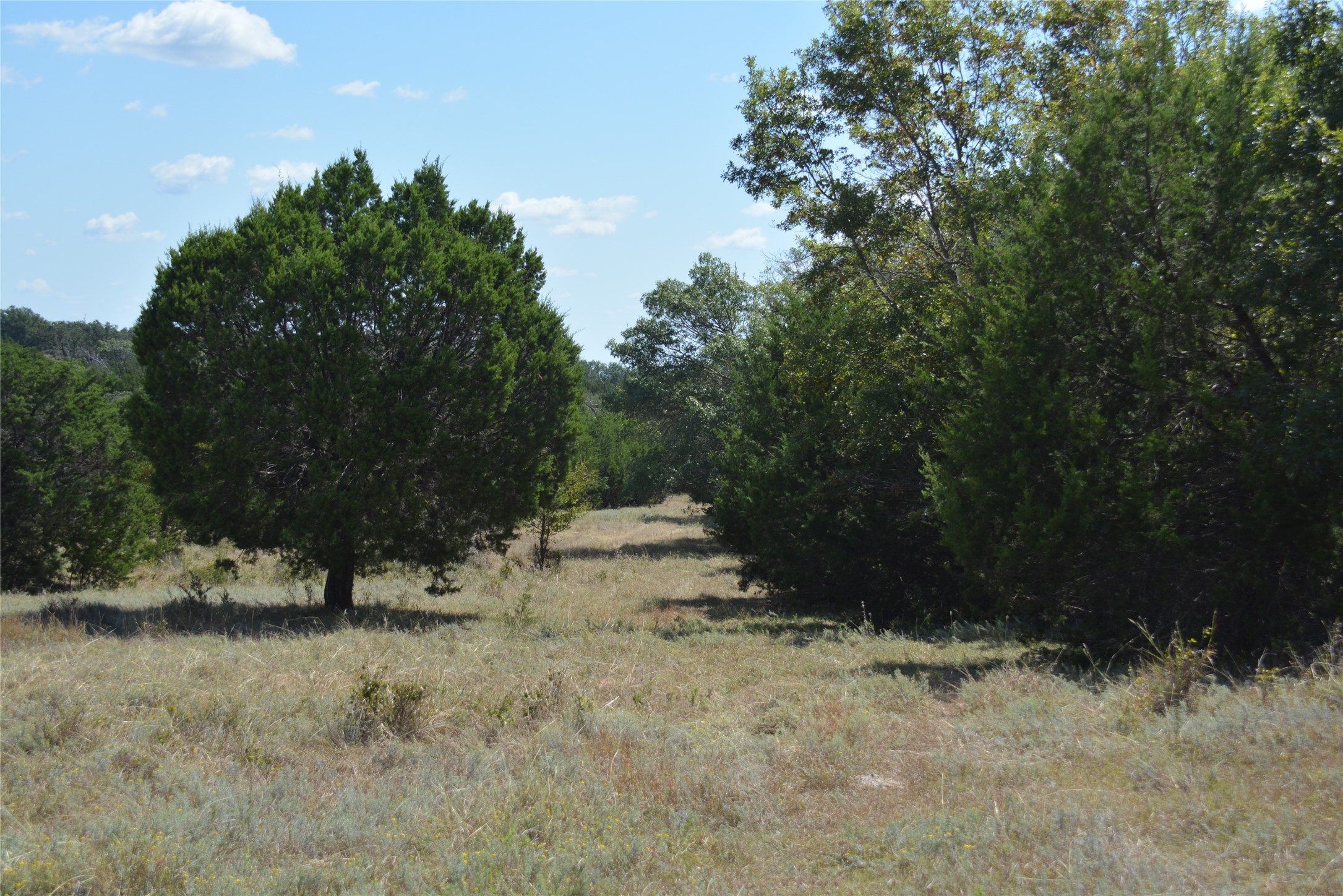 621 E Fm 572 Goldthwaite TX 76844
