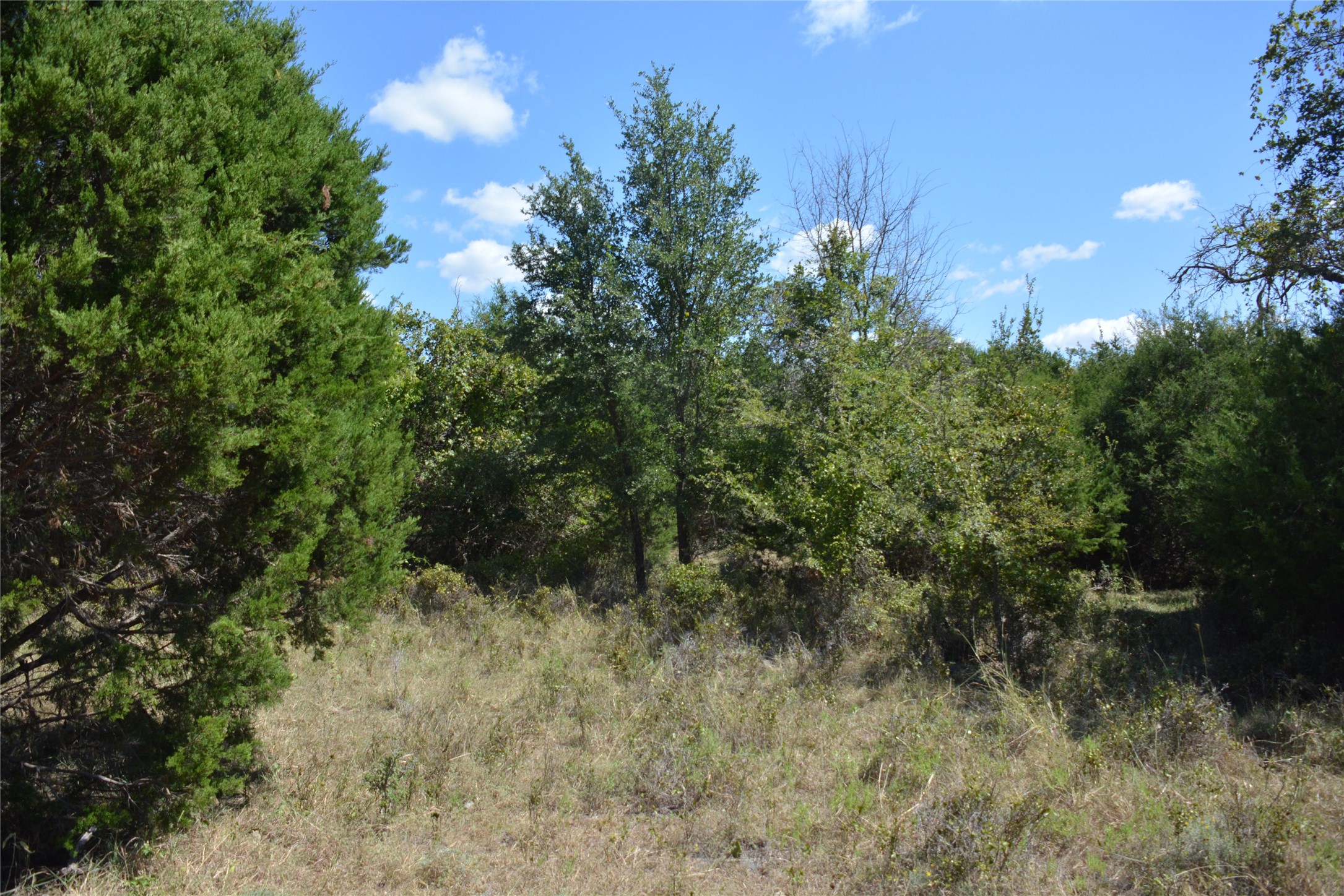 621 E Fm 572 Goldthwaite TX 76844