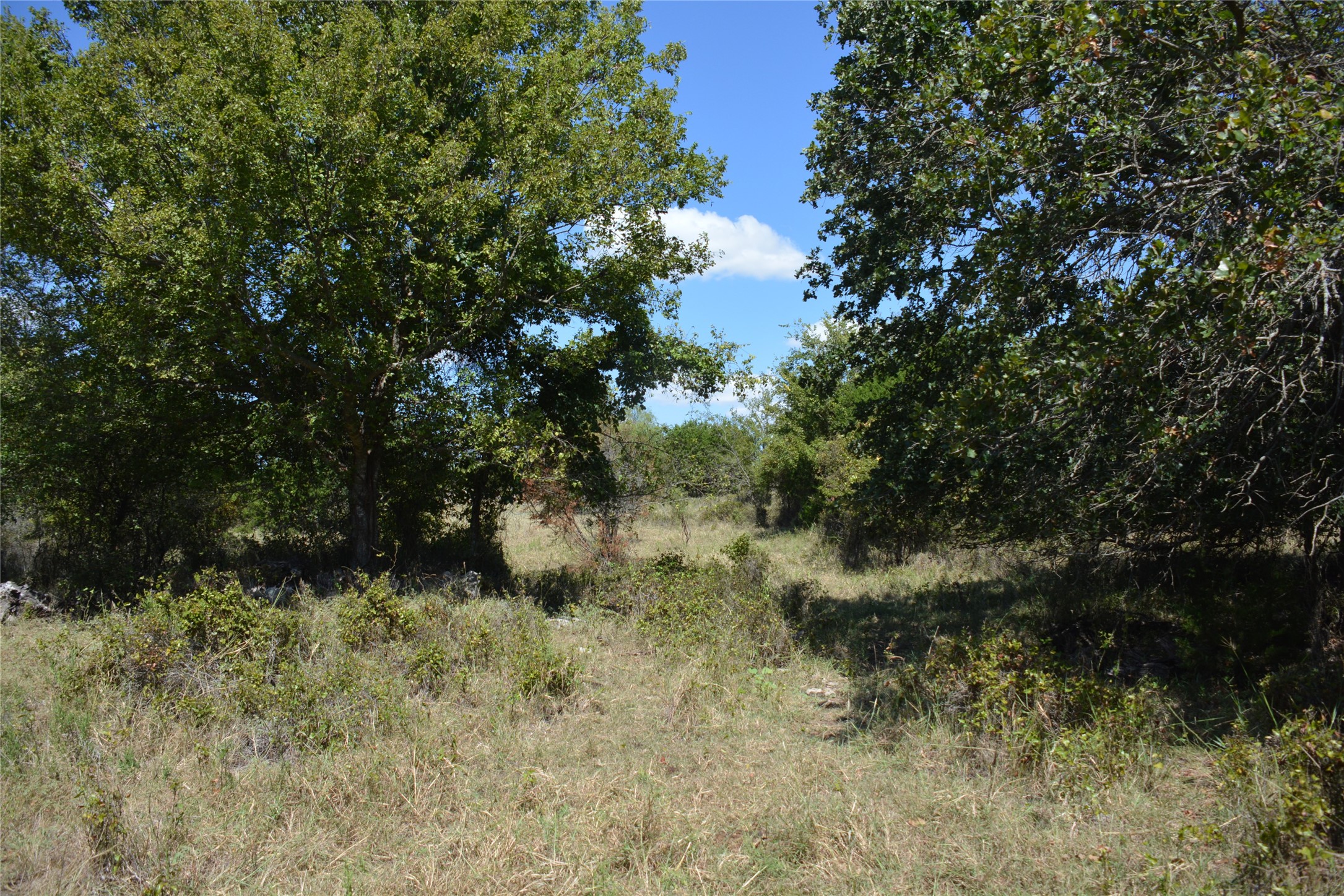 621 E Fm 572 Goldthwaite TX 76844