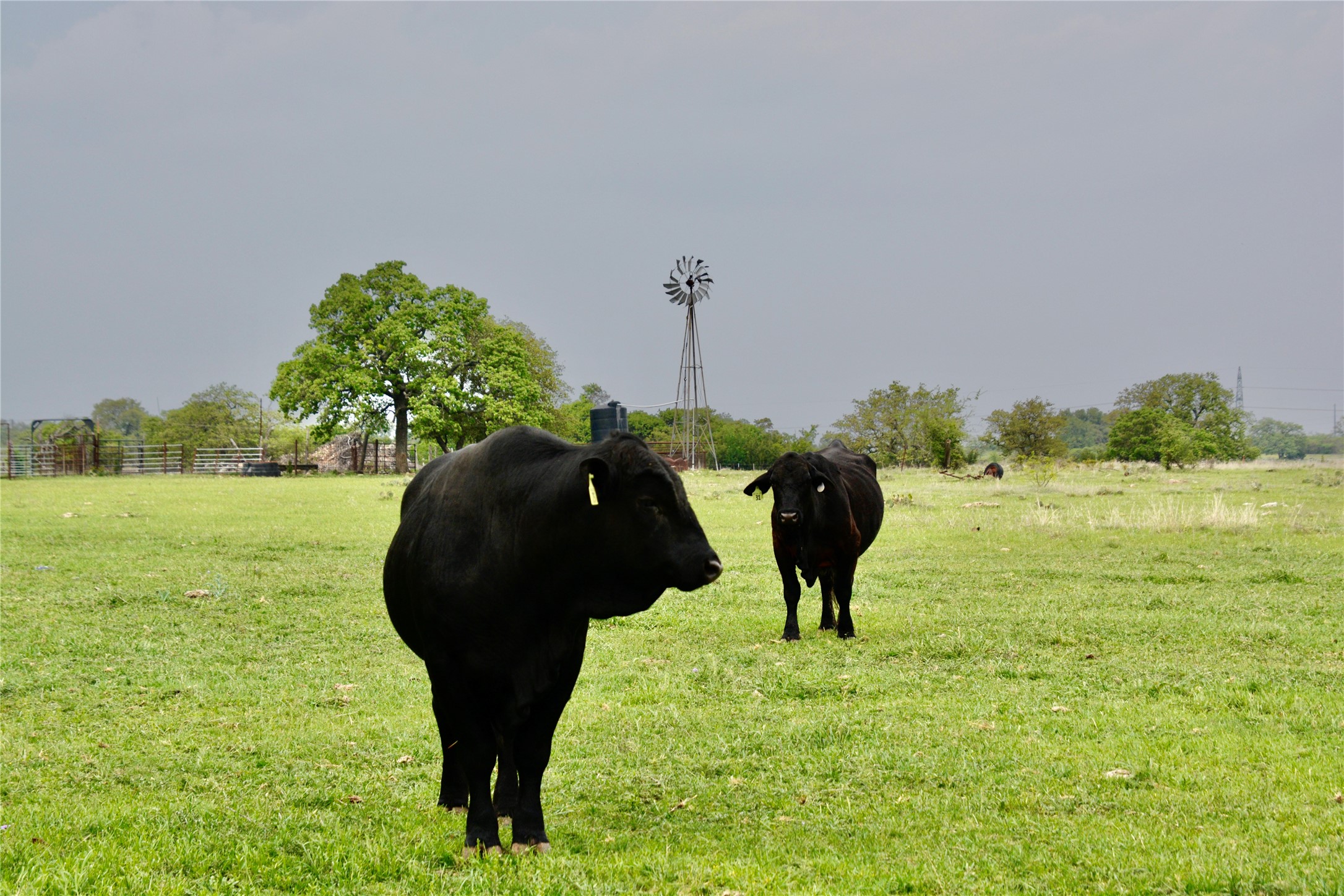 621 E Fm 572 Goldthwaite TX 76844