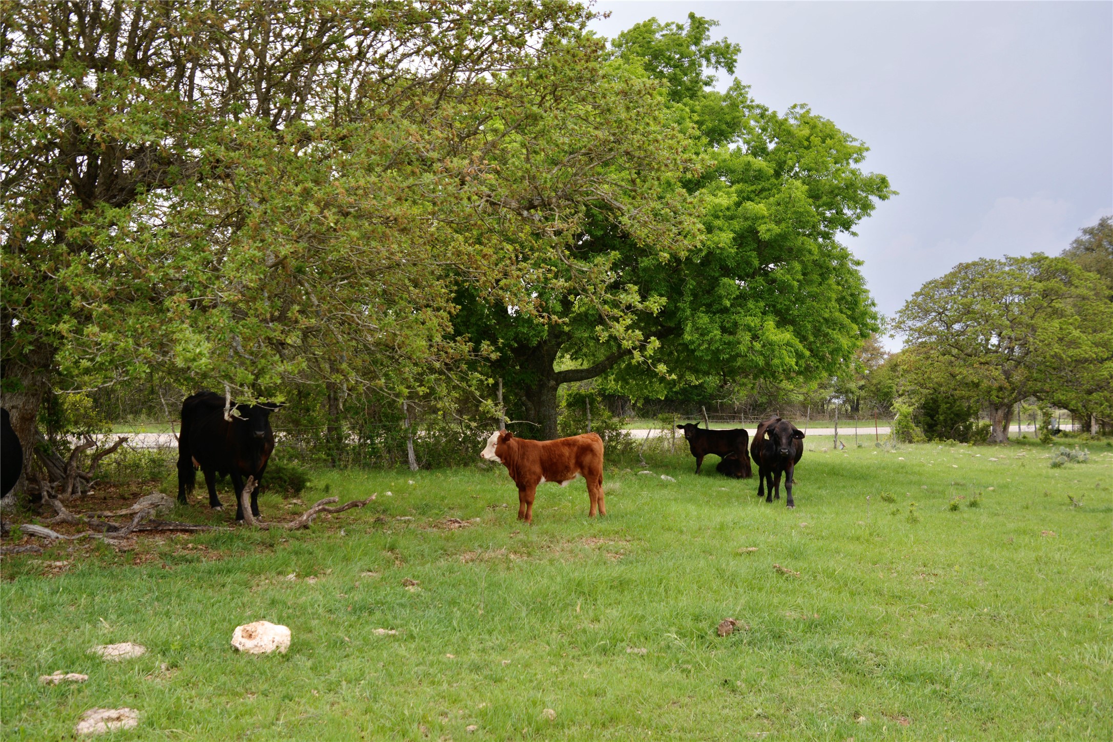 621 E Fm 572 Goldthwaite TX 76844