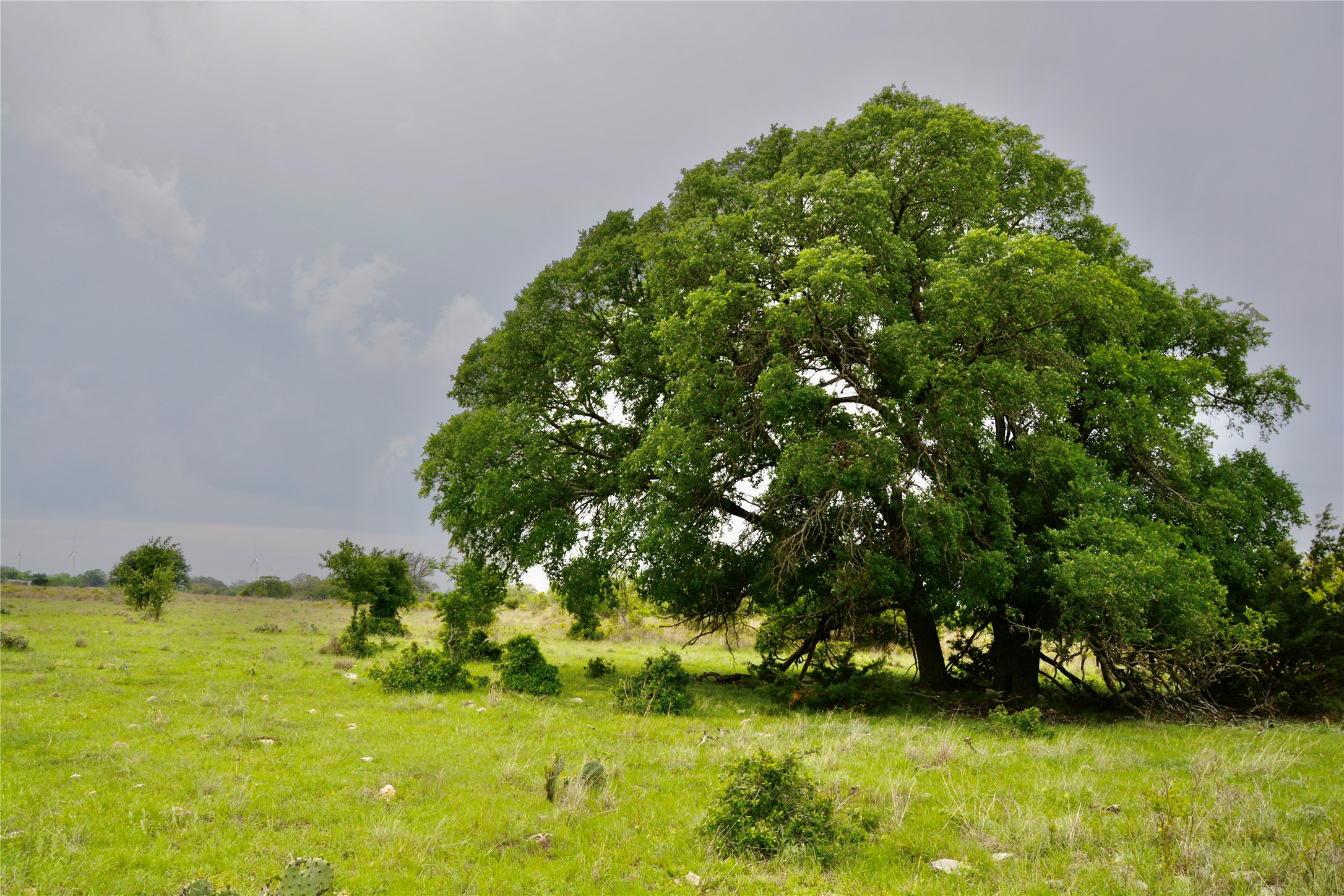 621 E Fm 572 Goldthwaite TX 76844