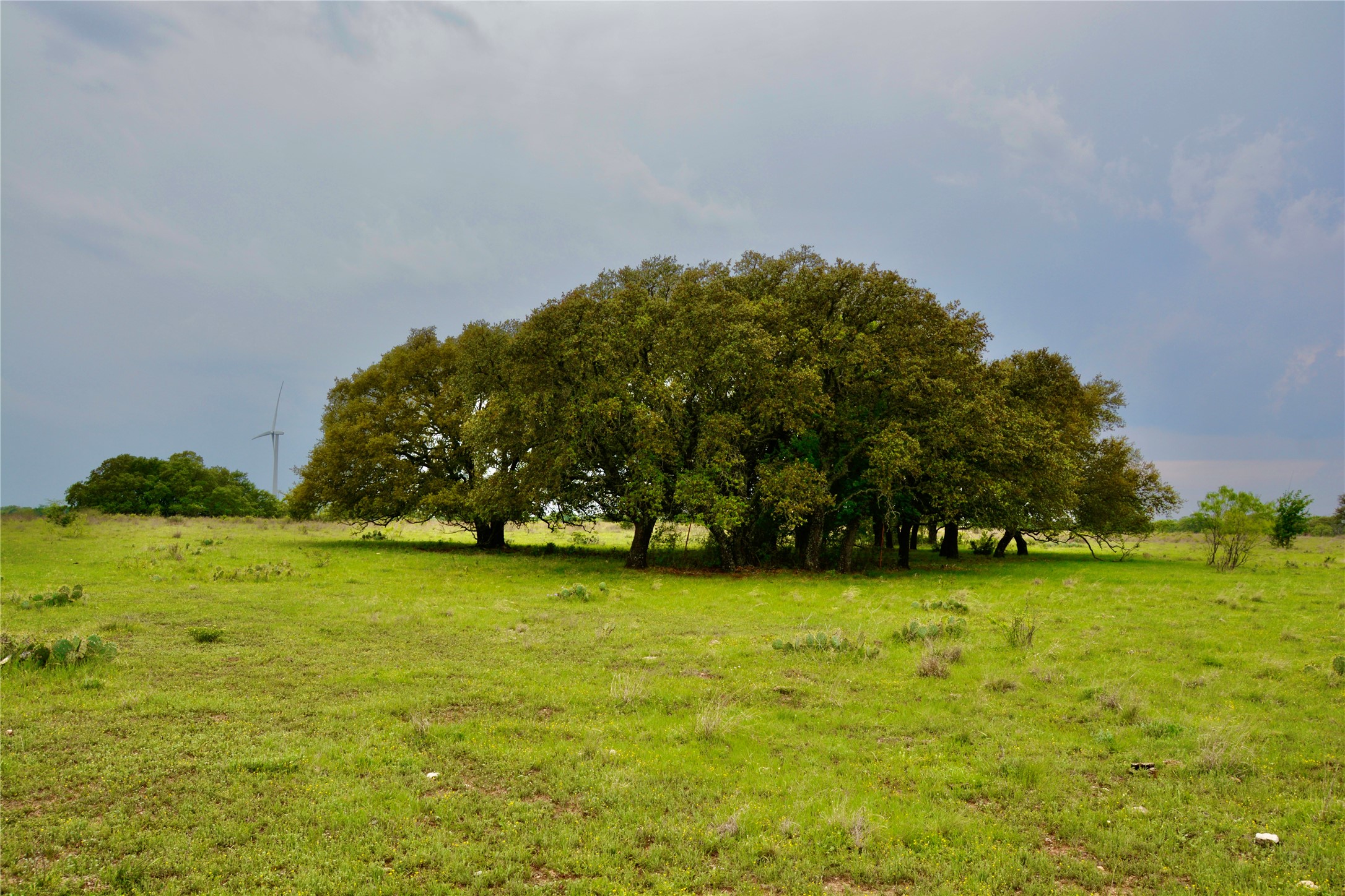 621 E Fm 572 Goldthwaite TX 76844