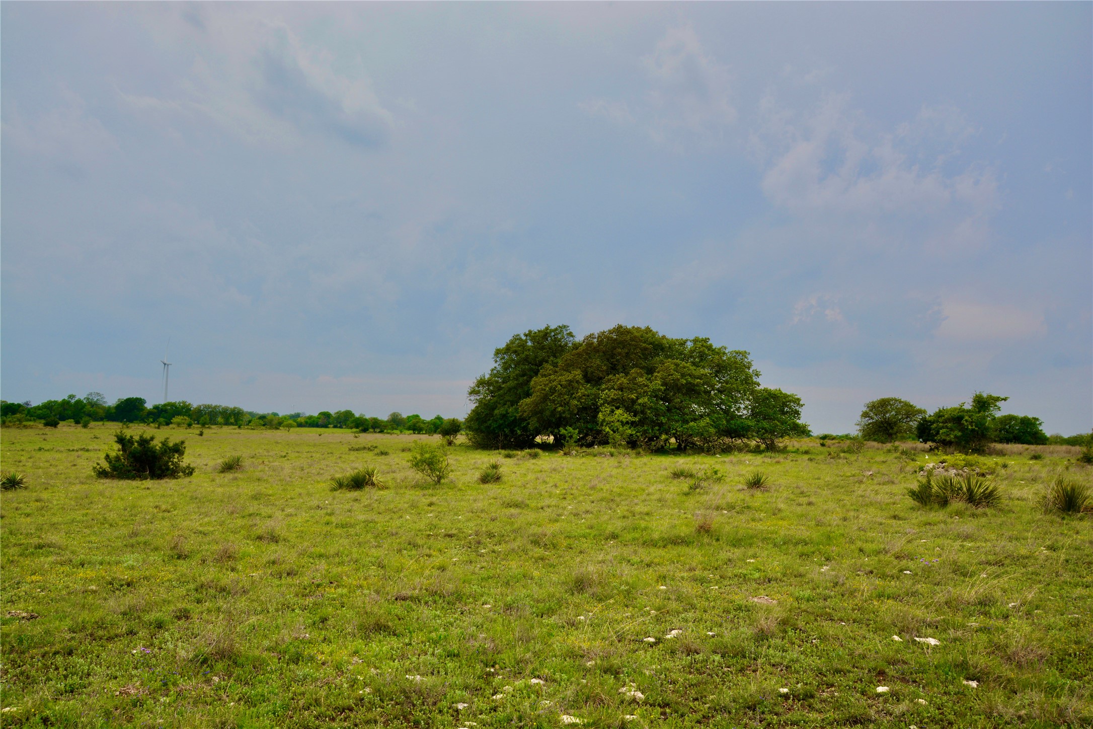 621 E Fm 572 Goldthwaite TX 76844