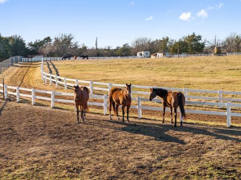 1715 S Joe Wilson Road Ovilla TX 75104