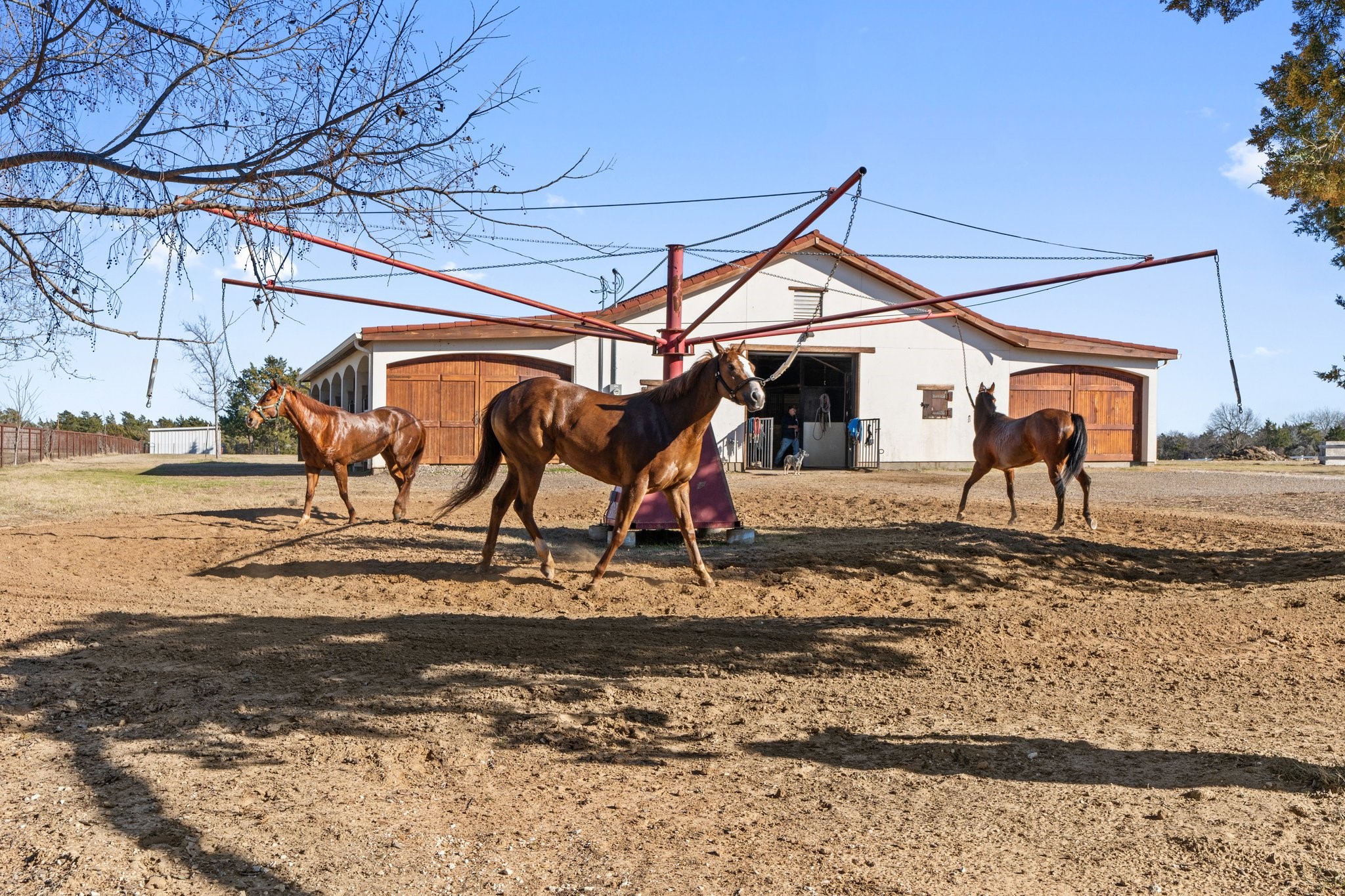 1715 S Joe Wilson Road Ovilla TX 75104