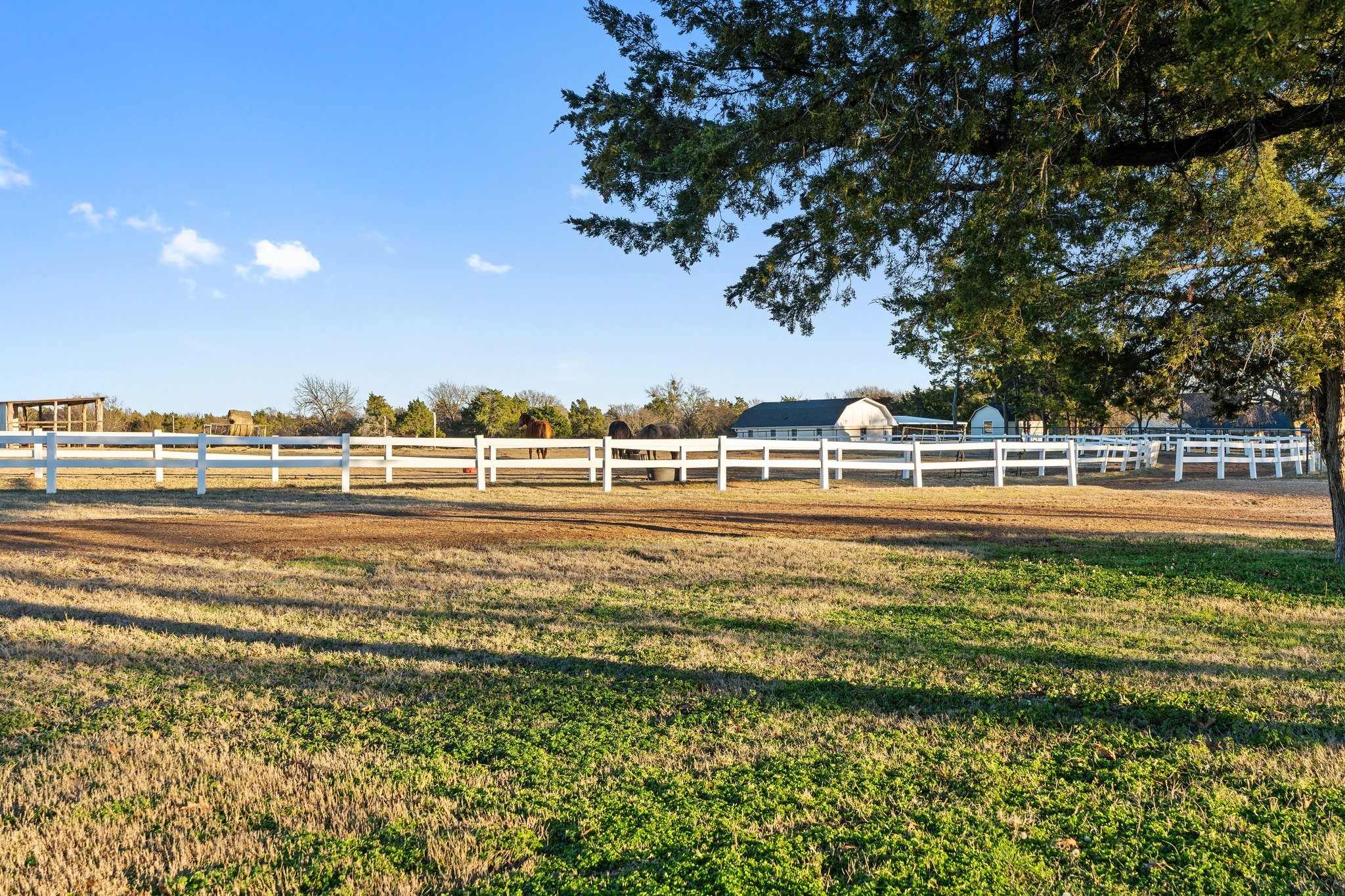 1715 S Joe Wilson Road Ovilla TX 75104