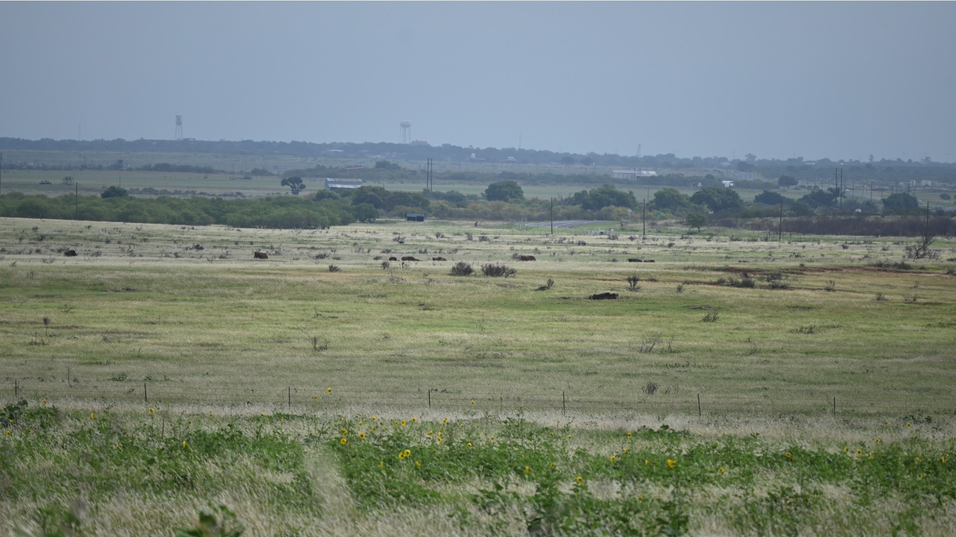 Tbd State Highway 79 Archer City TX 76374