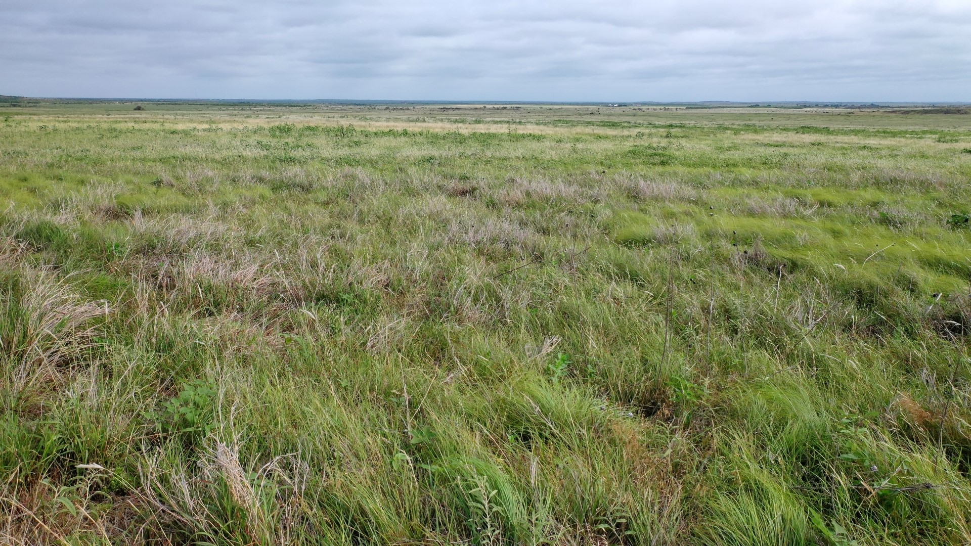 Tbd State Highway 79 Archer City TX 76374
