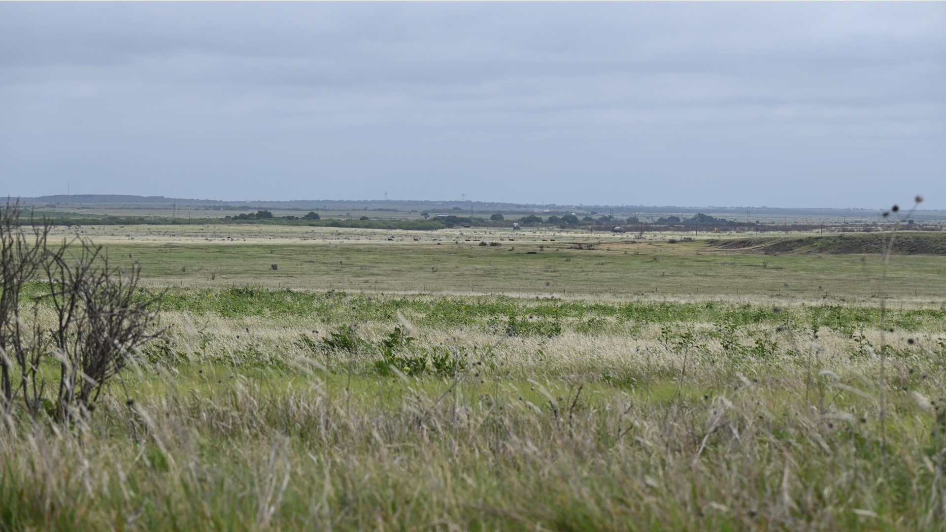 Tbd State Highway 79 Archer City TX 76374