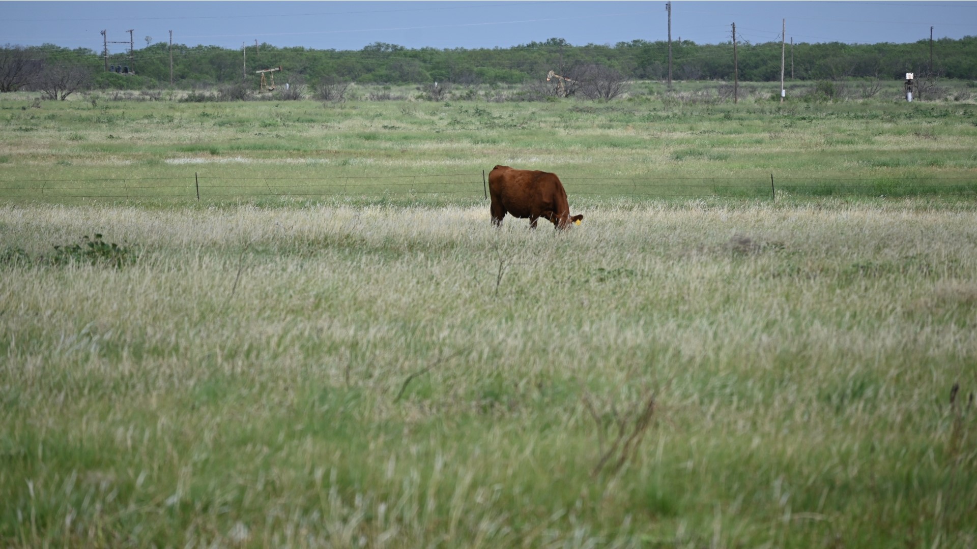 Tbd State Highway 79 Archer City TX 76374