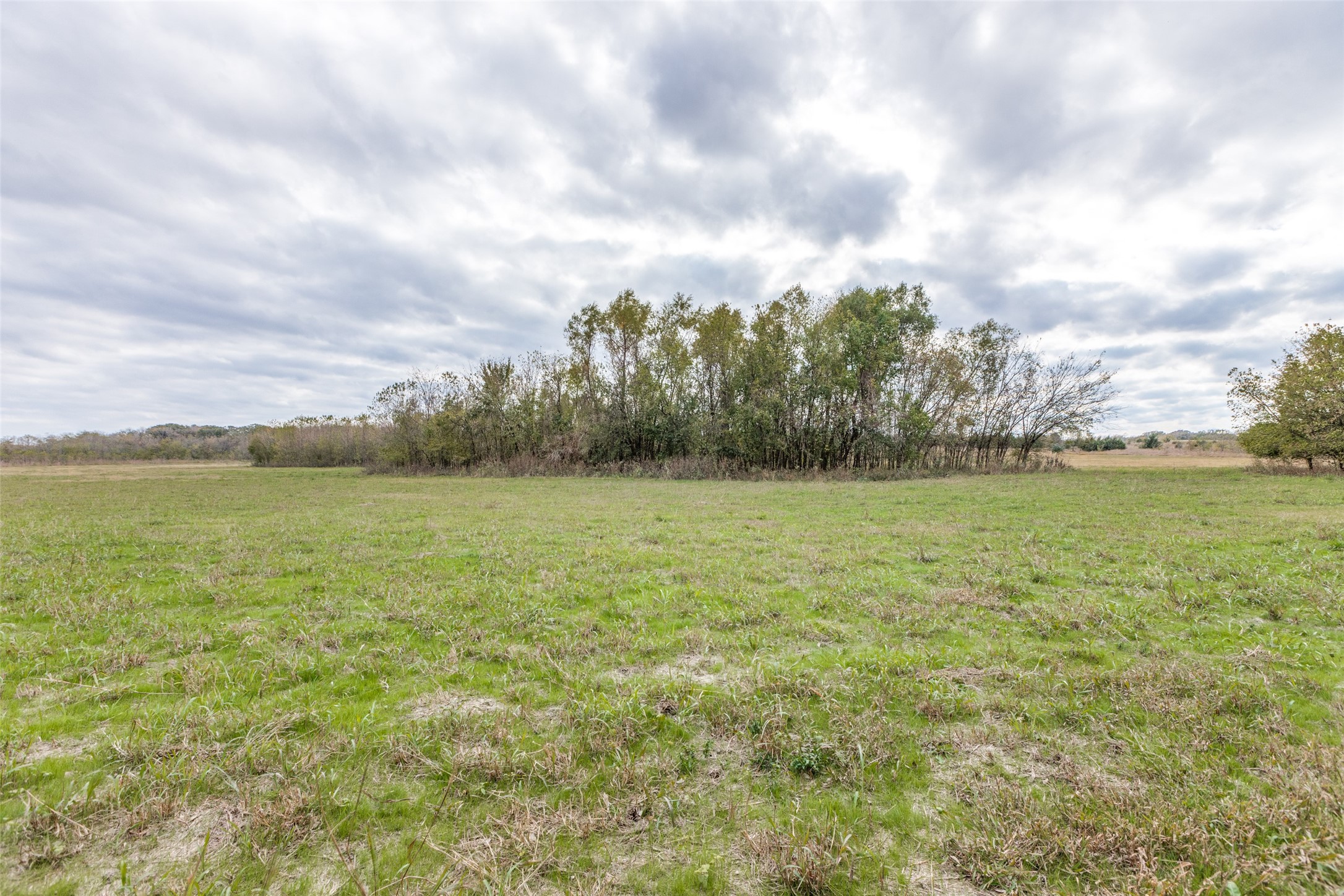 0 County Road 4510 Trenton TX 75490