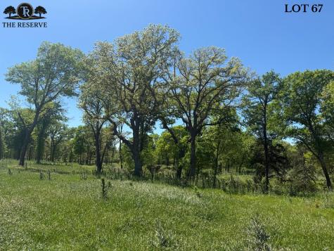 Lot 67 Camden Lane Springtown TX 76082
