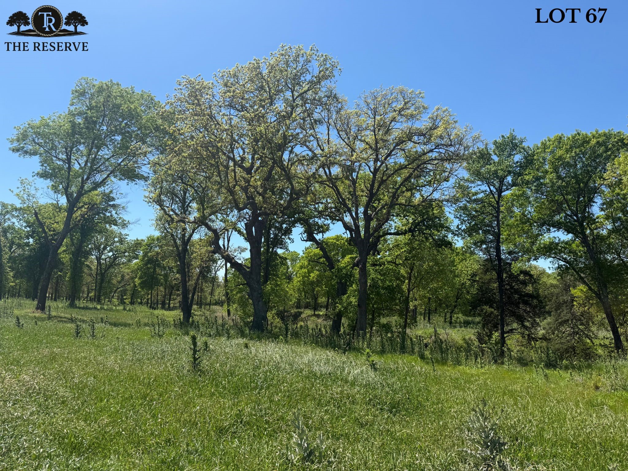 Lot 67 Camden Lane Springtown TX 76082