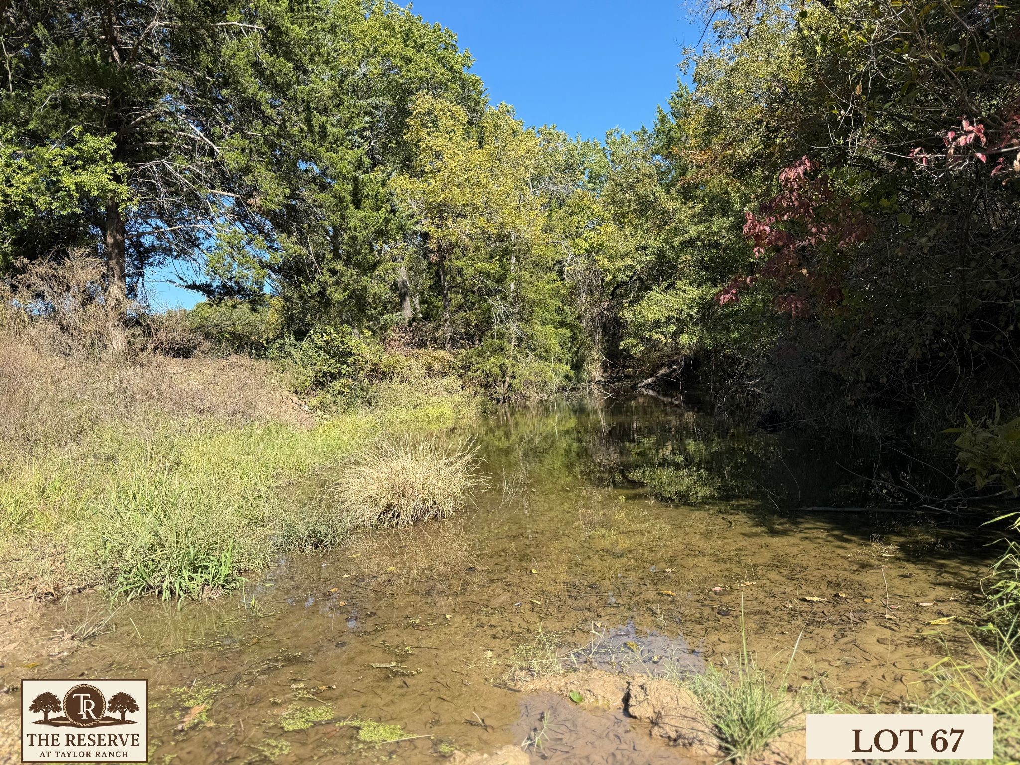 Lot 67 Camden Lane Springtown TX 76082