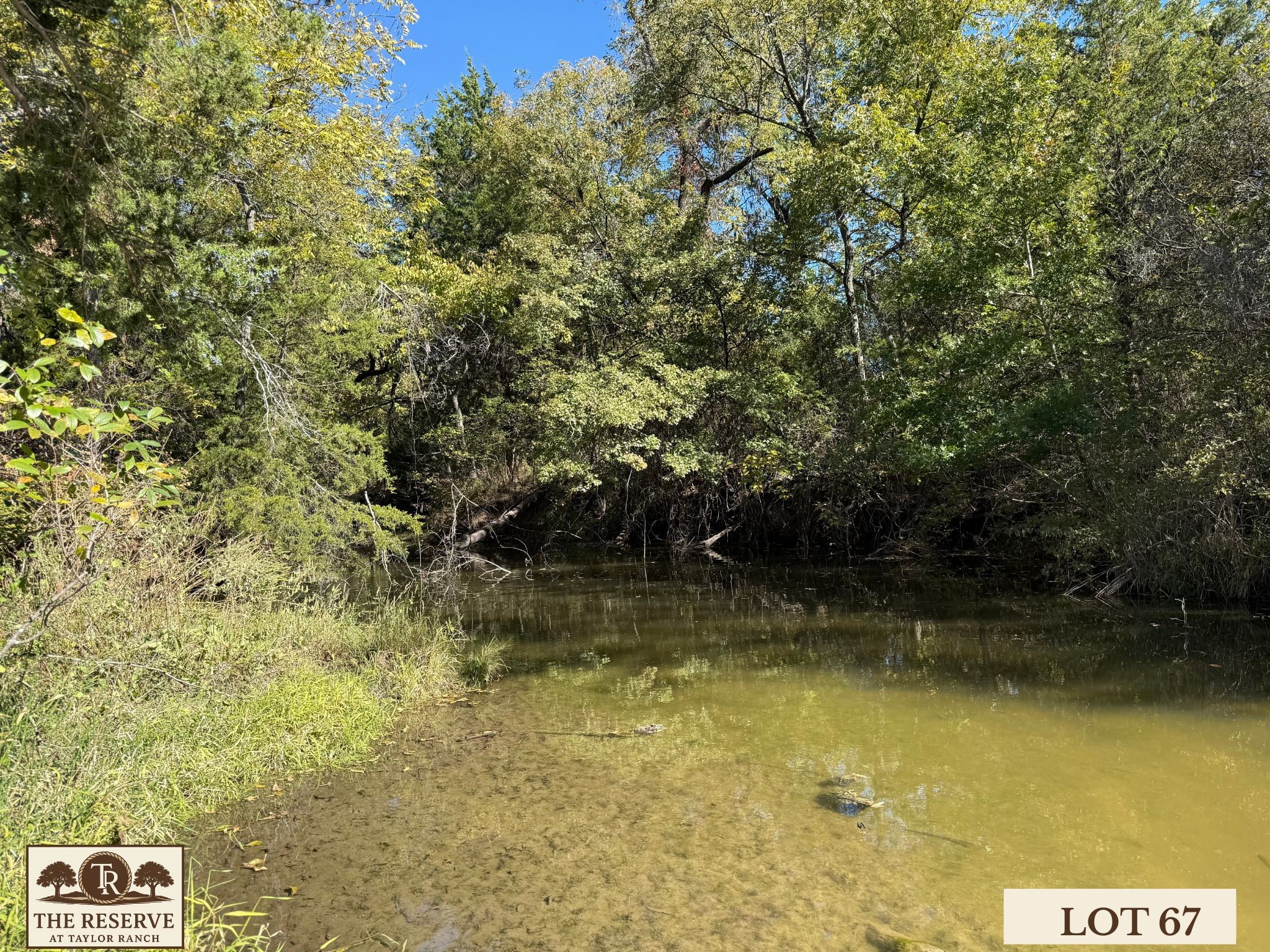 Lot 67 Camden Lane Springtown TX 76082