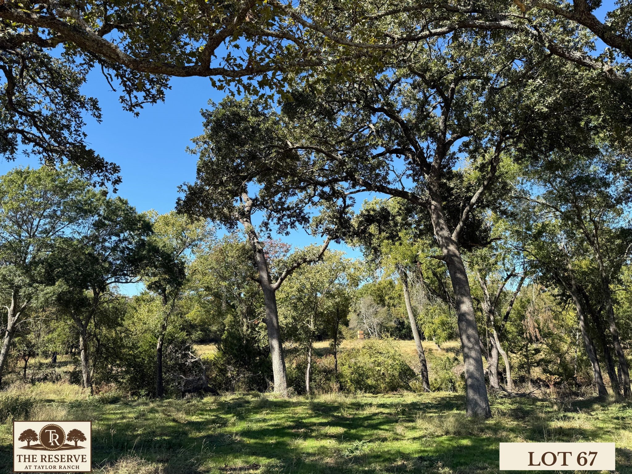 Lot 67 Camden Lane Springtown TX 76082