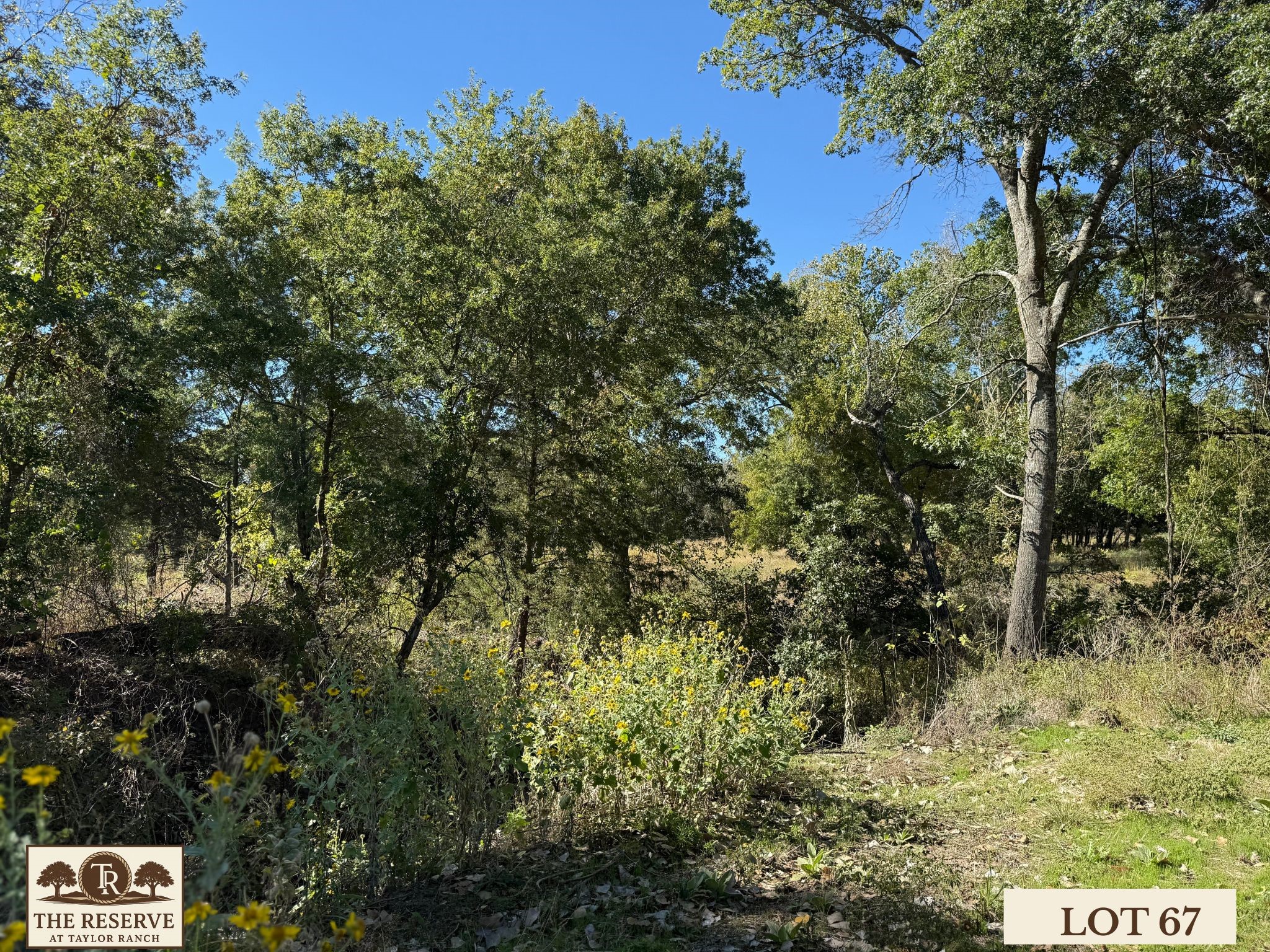 Lot 67 Camden Lane Springtown TX 76082
