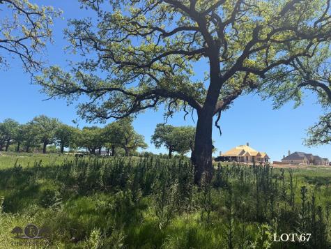 Lot 67 Camden Lane Springtown TX 76082