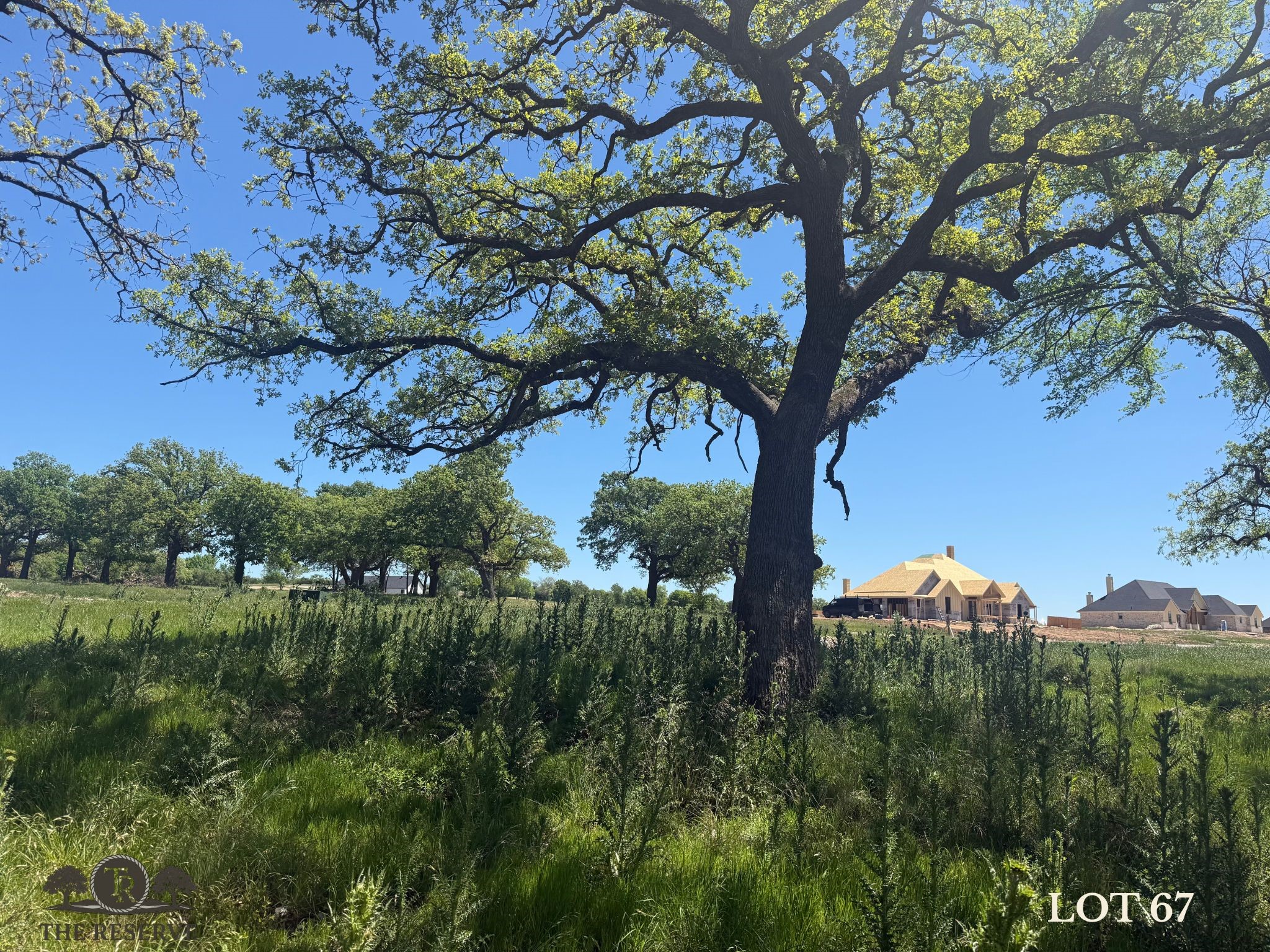Lot 67 Camden Lane Springtown TX 76082