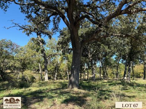 Lot 67 Camden Lane Springtown TX 76082