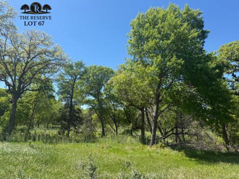 Lot 67 Camden Lane Springtown TX 76082