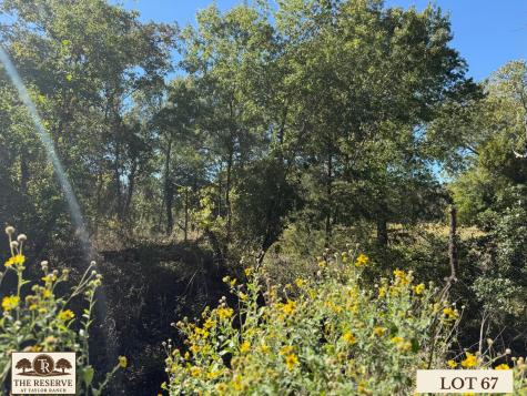 Lot 67 Camden Lane Springtown TX 76082