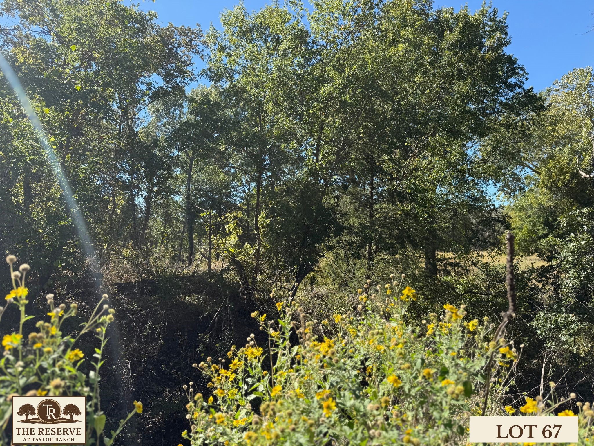 Lot 67 Camden Lane Springtown TX 76082