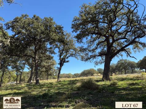 Lot 67 Camden Lane Springtown TX 76082